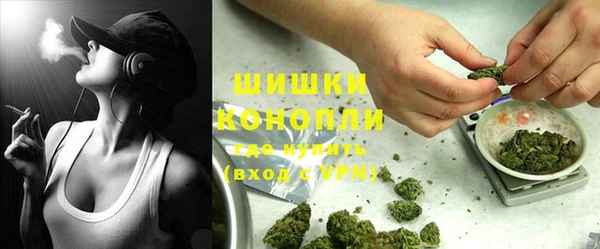дживик Абинск