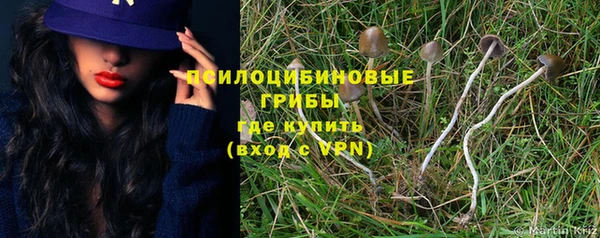 ECSTASY Абаза