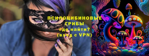 ECSTASY Абаза
