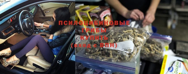дживик Абинск