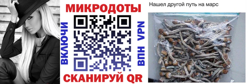 что такое наркотик  Сызрань  Псилоцибиновые грибы MAGIC MUSHROOMS 